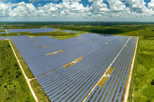 Investing in a solar park